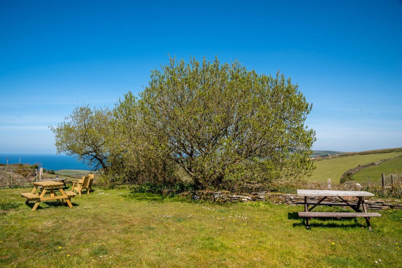 Polrunny Farm Seaberry Cottage With A Sea View And Log Burner ボスキャッスル エクステリア 写真
