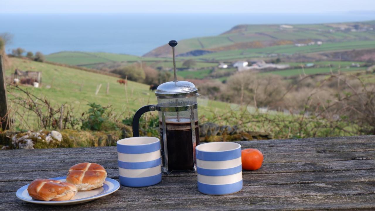 Polrunny Farm Seaberry Cottage With A Sea View And Log Burner ボスキャッスル エクステリア 写真