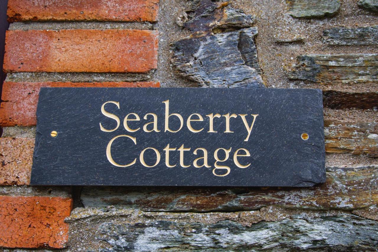 Polrunny Farm Seaberry Cottage With A Sea View And Log Burner ボスキャッスル エクステリア 写真