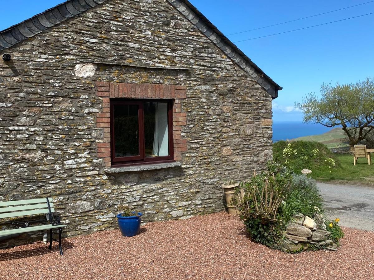 Polrunny Farm Seaberry Cottage With A Sea View And Log Burner ボスキャッスル エクステリア 写真