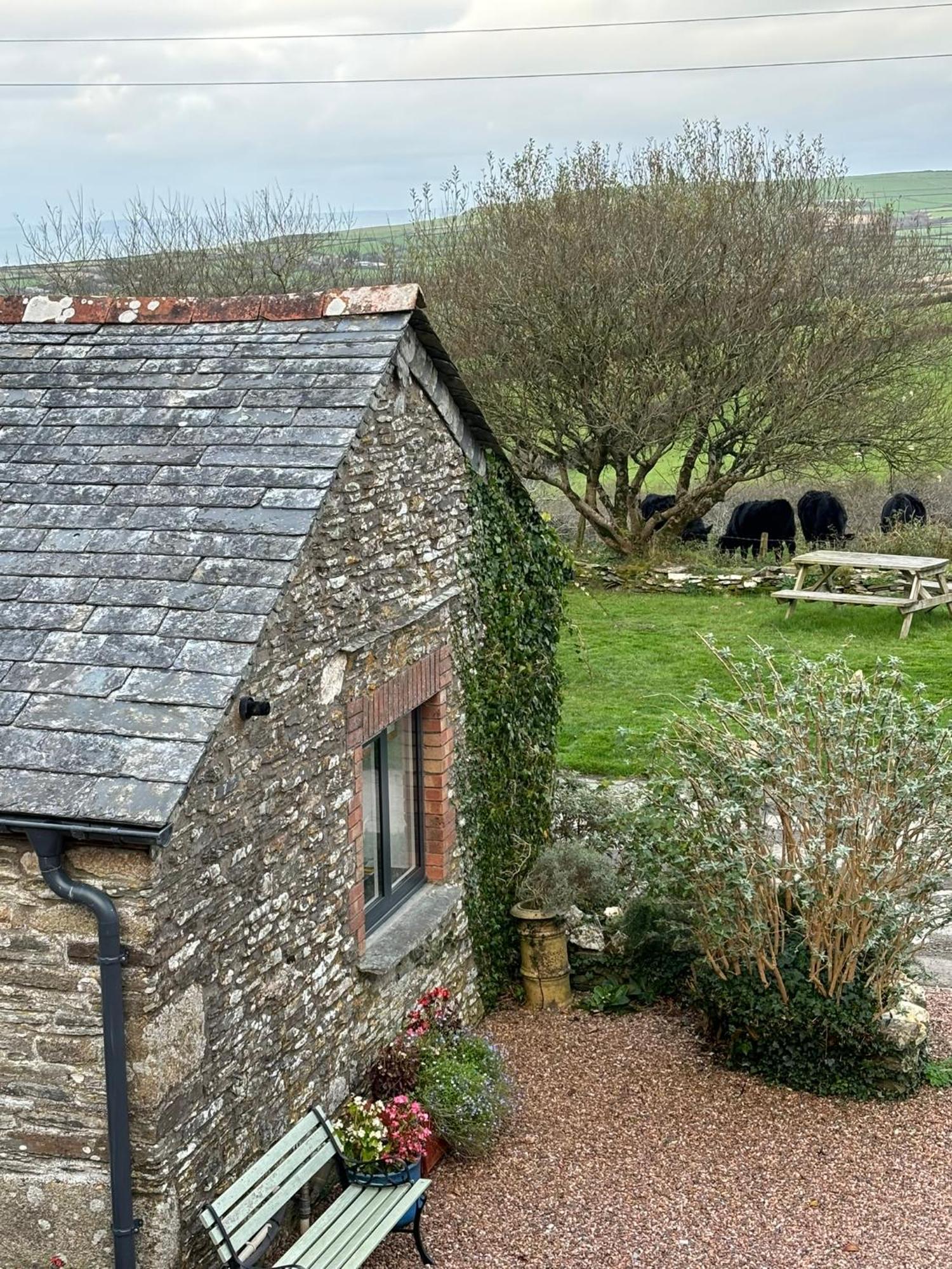 Polrunny Farm Seaberry Cottage With A Sea View And Log Burner ボスキャッスル エクステリア 写真